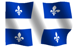 orleans flag